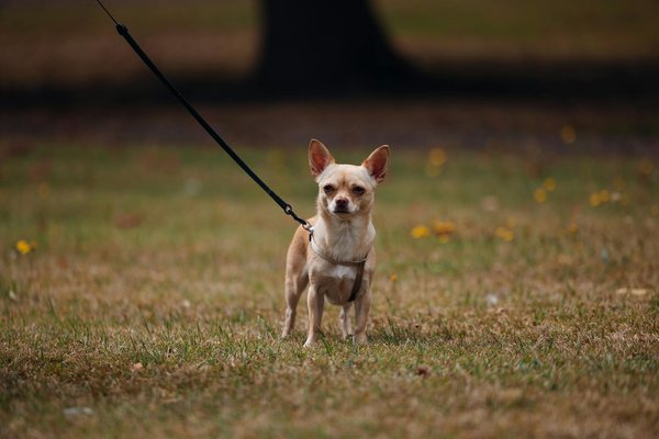 Wie man in Immobilien investiert die Sie wissen müssen